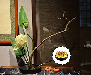 Amazon.com: SVY Japanese Kenzan Ikebana Flower Arranger